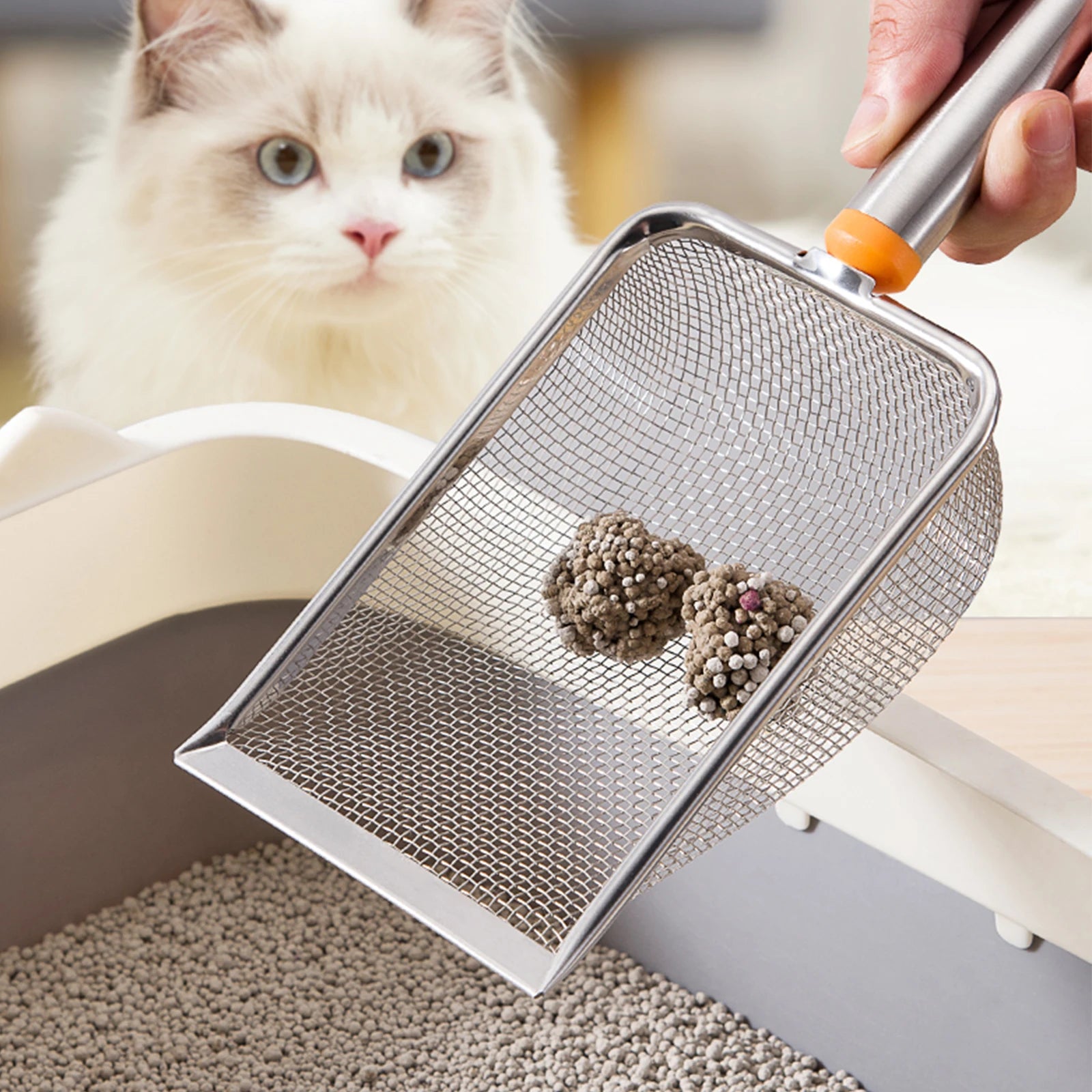 Long Handle Stainless Steel Cat Litter Scoop Kitten Cat Sieve Sieve Li atongm